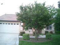 Trim & shape Crape Myrtle Sumach and small Eucalyptus
