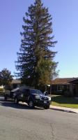 Beautiful old redwood trimmed & Happy Customer